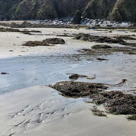 The Wood Grange Holiday home *